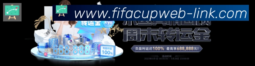 未来规划
