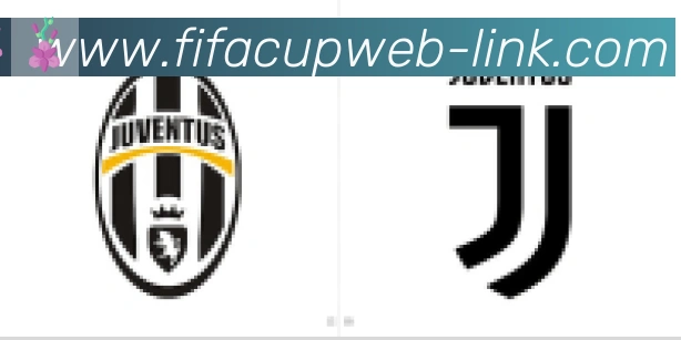 FIFA世界杯资讯官方网站合作伙伴